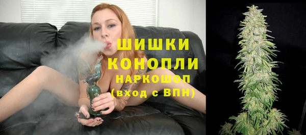 шишки Баксан