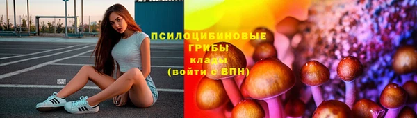 прущие грибы Приозерск