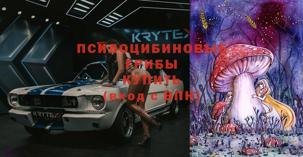 МДПВ Протвино