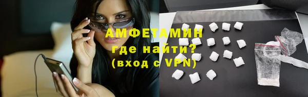 прущие грибы Приозерск