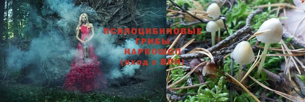 шишки Баксан