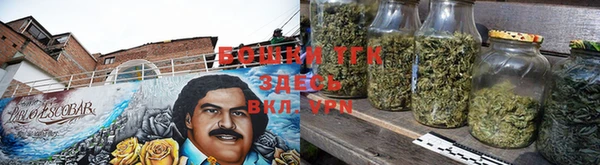 МДПВ Протвино