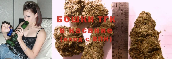 шишки Баксан