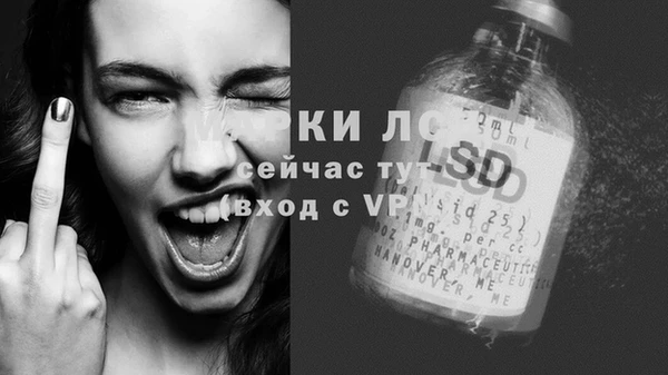 шишки Баксан